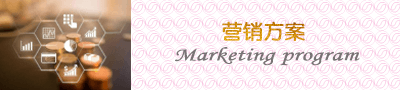 营销方案