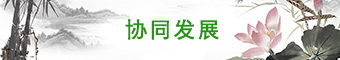 协同发展