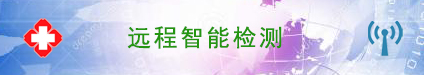 远程智能检测