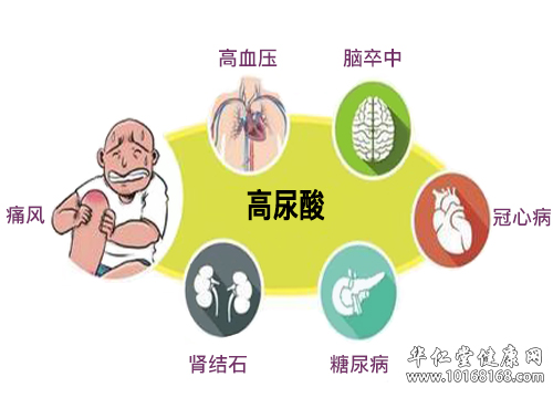高尿酸并发症