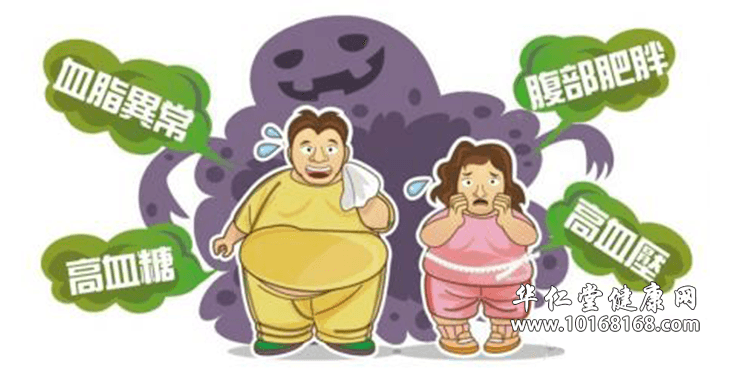 甘油三脂.png