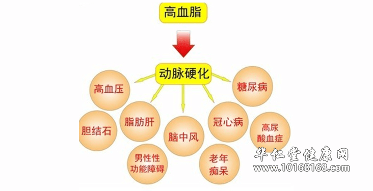 高血脂并发症.png